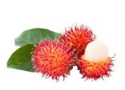 Rambutan